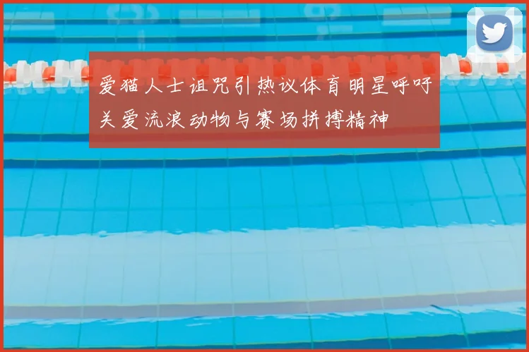 爱猫人士诅咒引热议体育明星呼吁关爱流浪动物与赛场拼搏精神